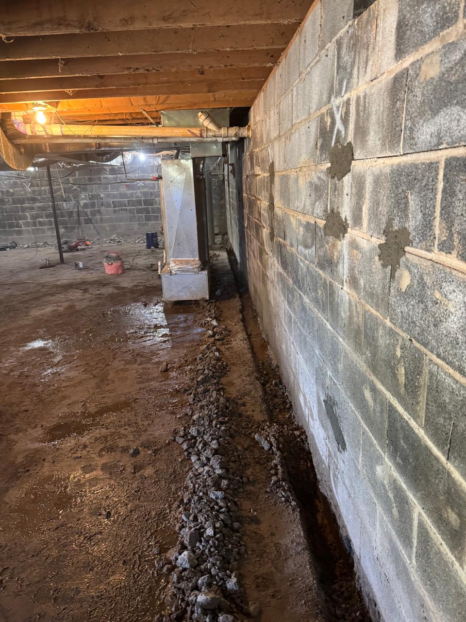 whatsapp image 2025 11 15 at 23.08.14